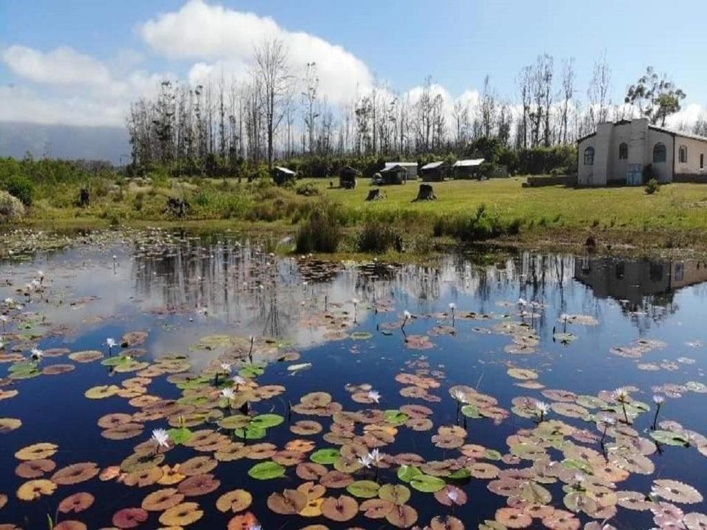 Cadeau Hiking And Accommodation Witelsbos Экстерьер фото